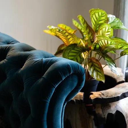 Bridge 別荘 グレンジ・オーバー・サンズ